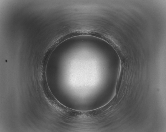 X0000082970544200702152334