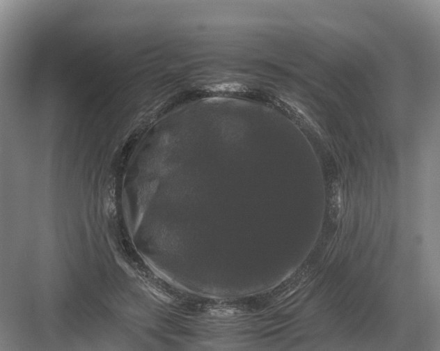 X0000082970547200702152334