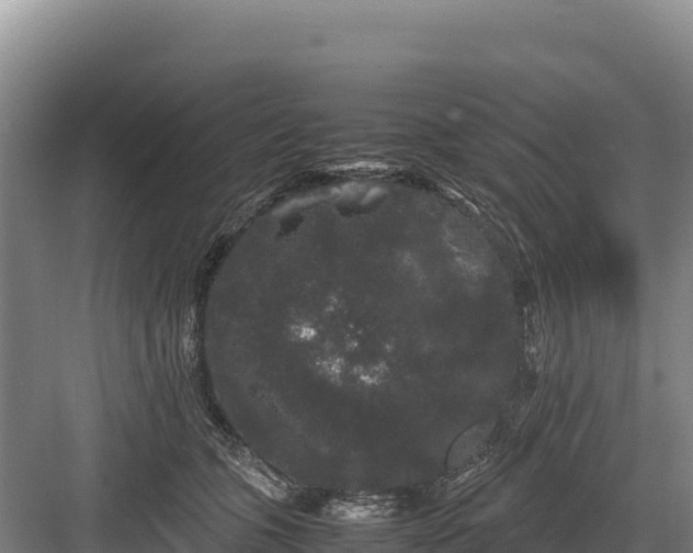 X0000082970563200702152335
