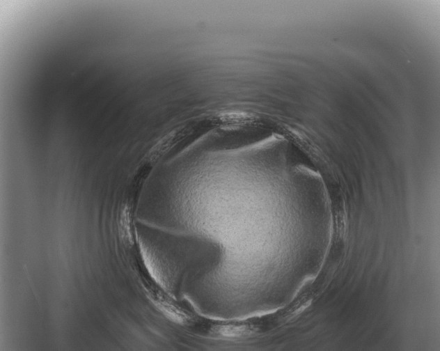 X0000082970575200702152335