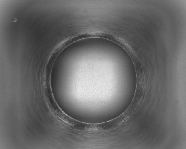 X0000082970587200702152334