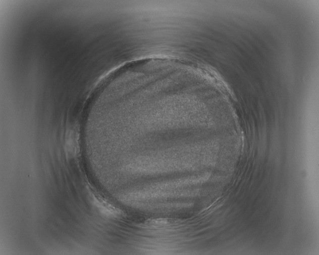 X0000082970588200702152334