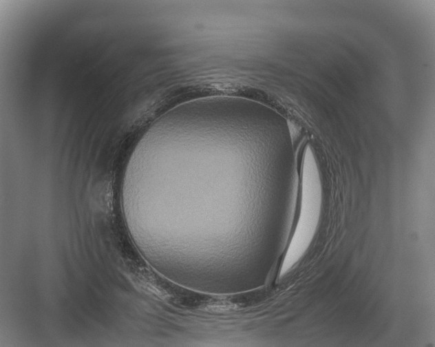 X0000082970595200702152334