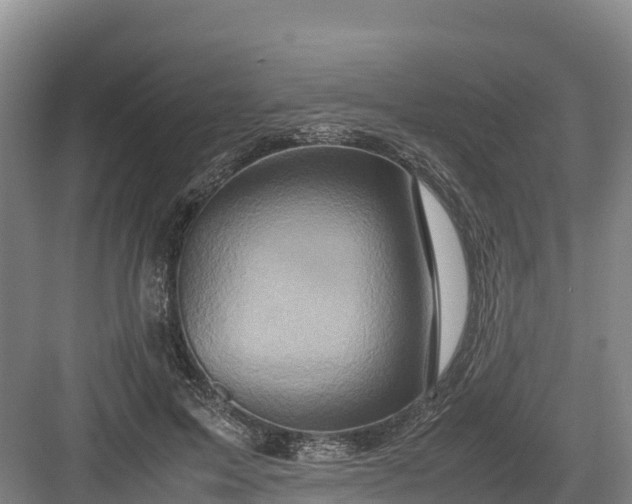 X0000082970599200702152334