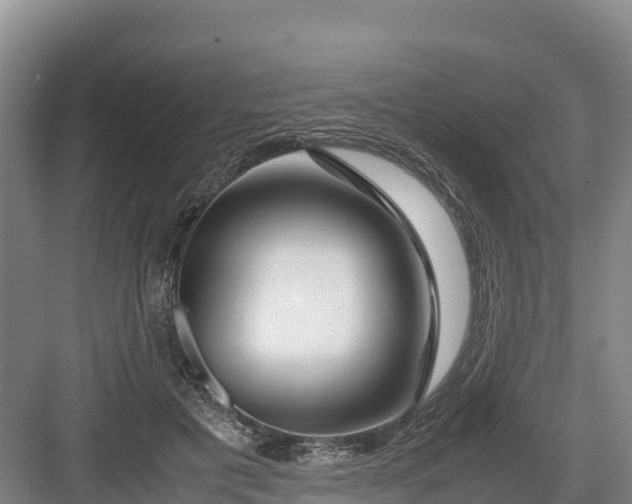X0000082970601200702152334