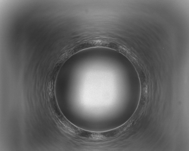 X0000082970605200702152333