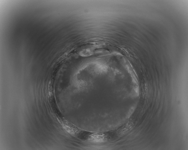 X0000082970606200702152333