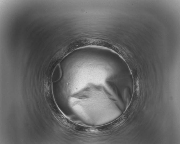 X0000082970607200702152333