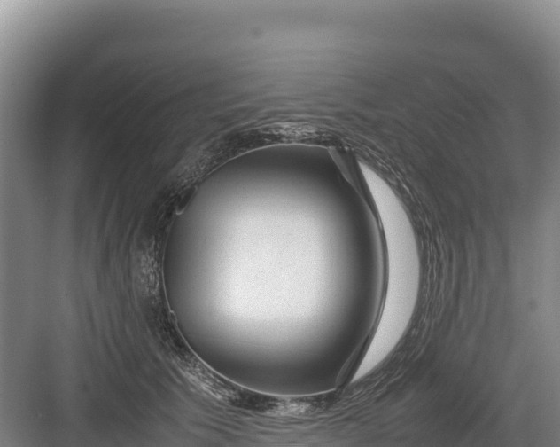 X0000082970609200702152333