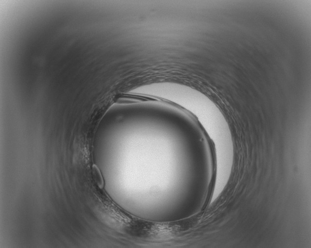 X0000082970613200702152333