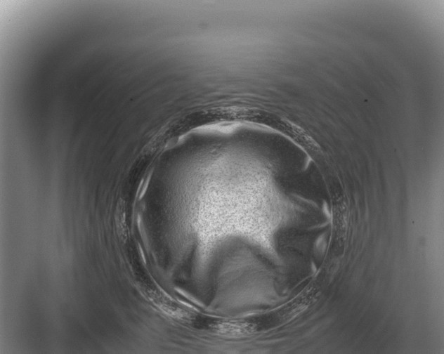 X0000082970615200702152333