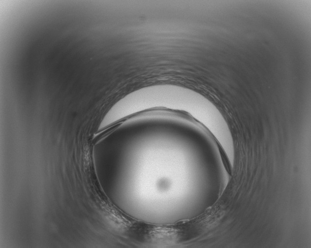X0000082970617200702152333