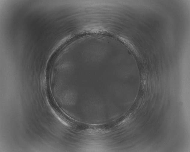 X0000082970630200702152332