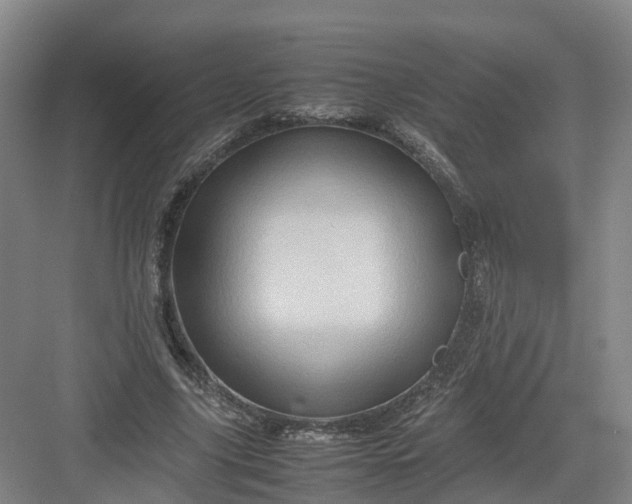 X0000082970635200702152333