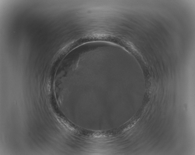 X0000082970640200702152333