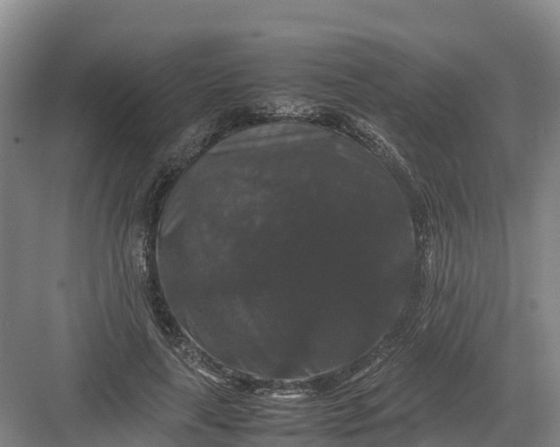 X0000082970643200702152333