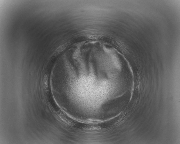 X0000082970646200702152333