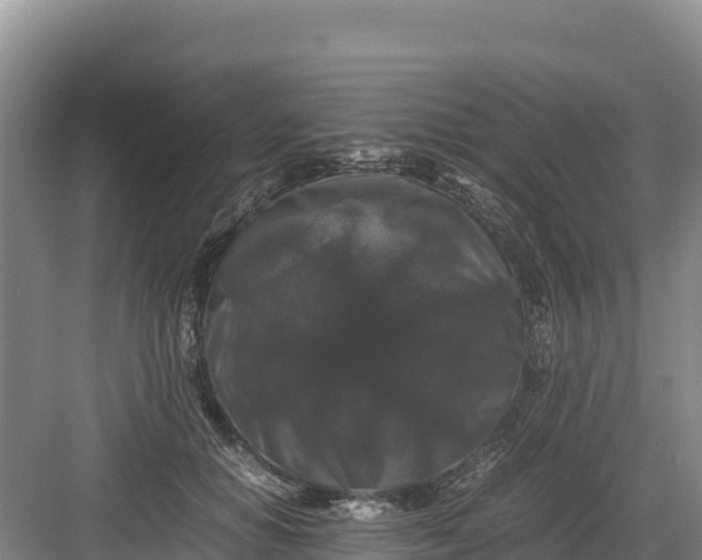 X0000082970654200702152333