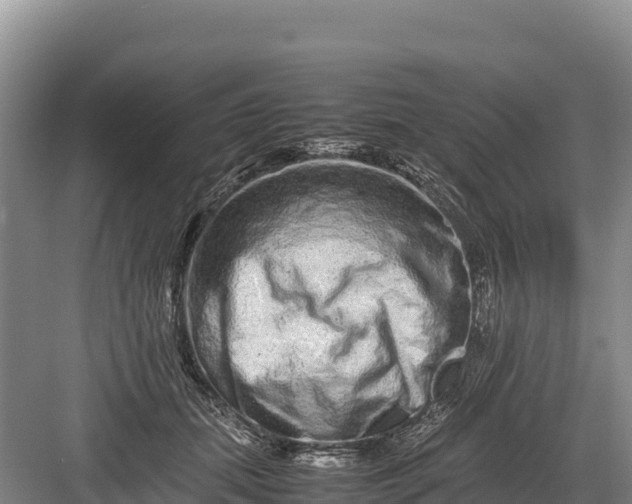 X0000082970655200702152333