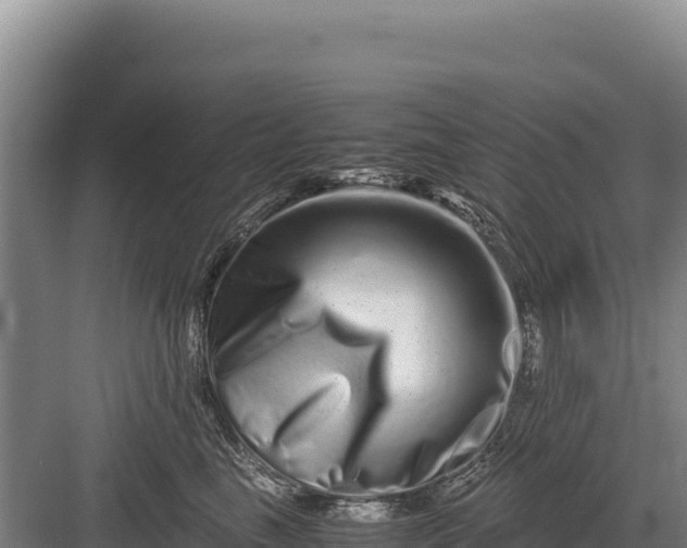 X0000082970665200702152333