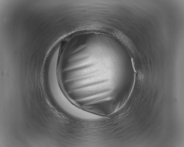 X0000082970676200702152332