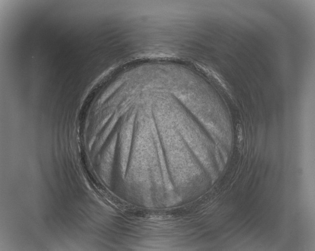 X0000082970684200702152332