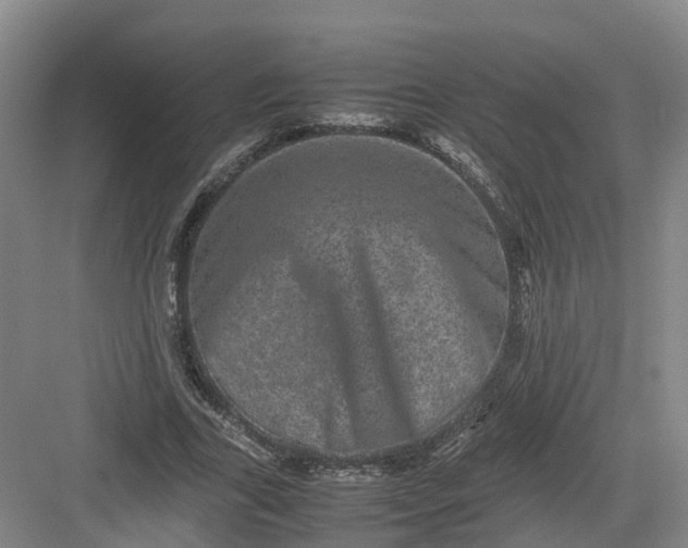 X0000082970731200702152331