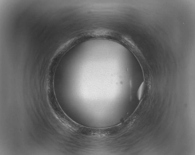 X0000082970732200702152331