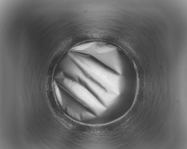 X0000082970738200702152331