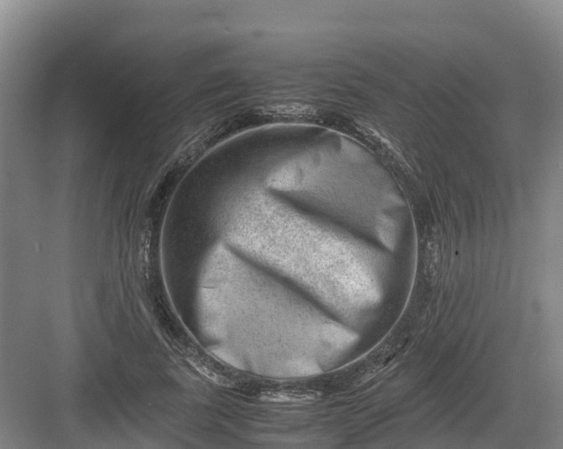 X0000082970739200702152331