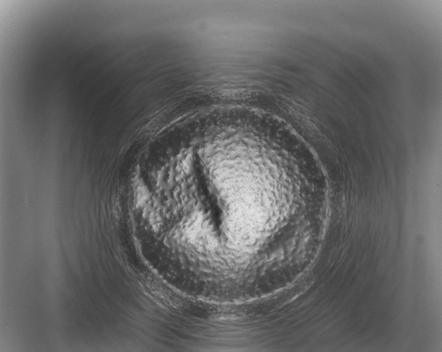 X0000082970746200702152331