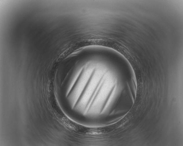 X0000082970750200702152331