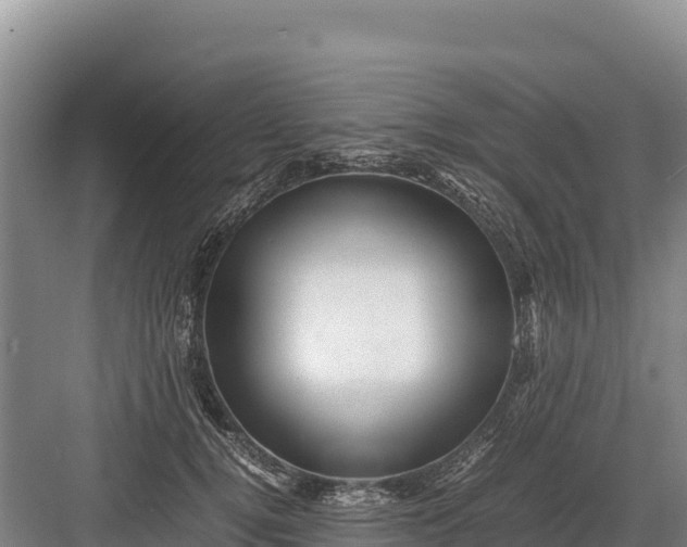 X0000082970752200702152331