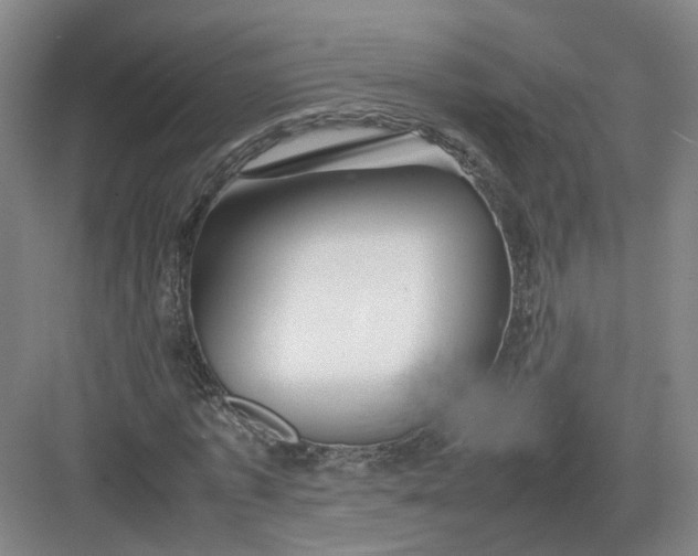 X0000082970773200702152331
