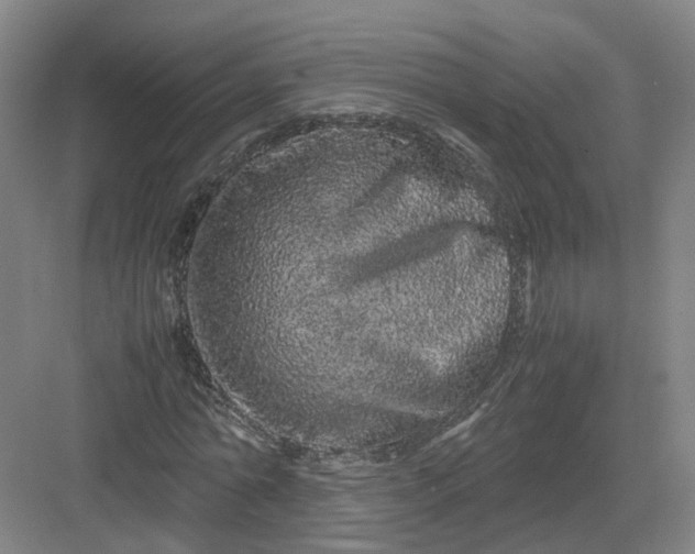 X0000082970774200702152331