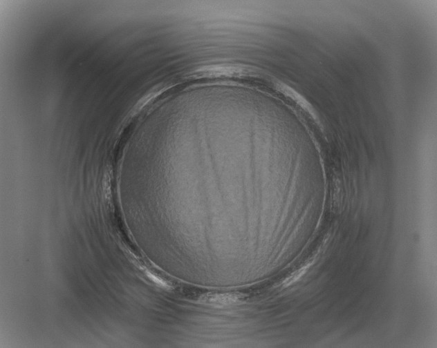 X0000082970778200702152331