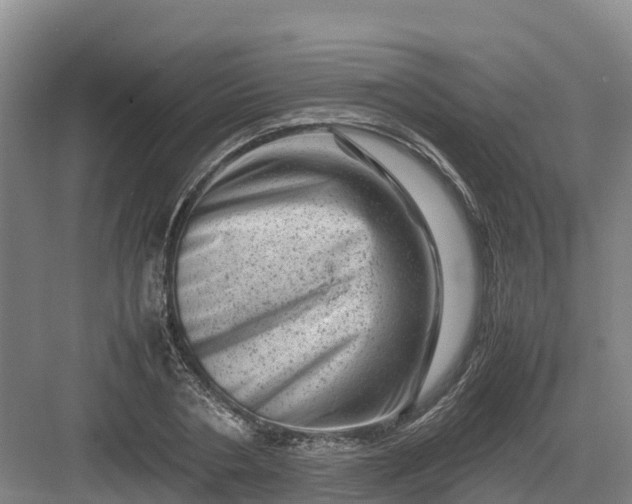 X0000082970786200702152330