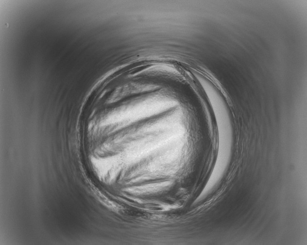 X0000082970787200702152330