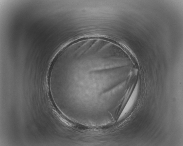 X0000082970789200702152330