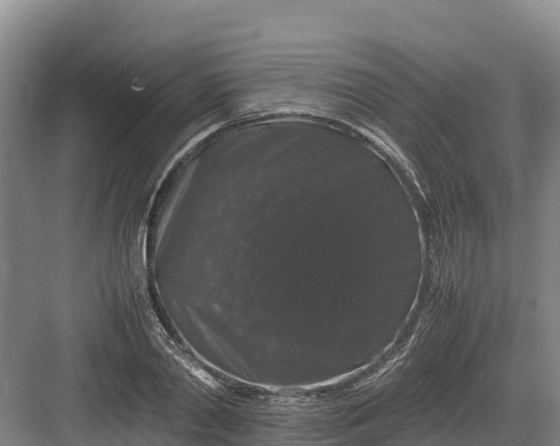 X0000082970790200702152330