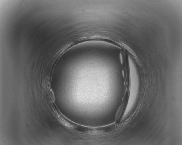 X0000082970793200702152330