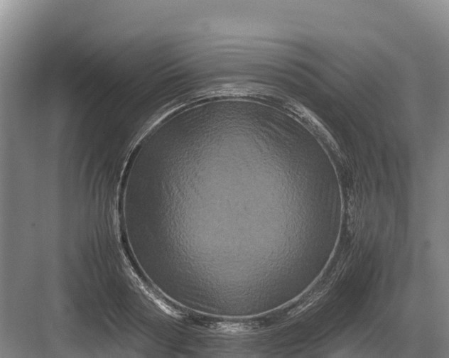 X0000082970794200702152330
