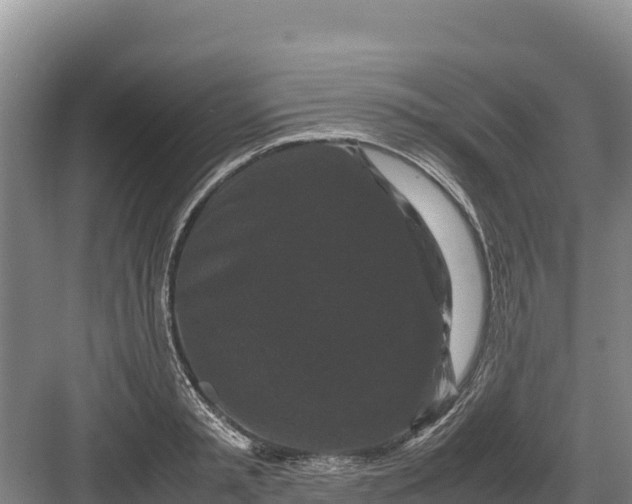 X0000082970797200702152330