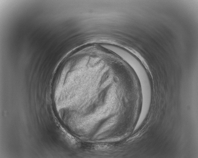 X0000082970799200702152330