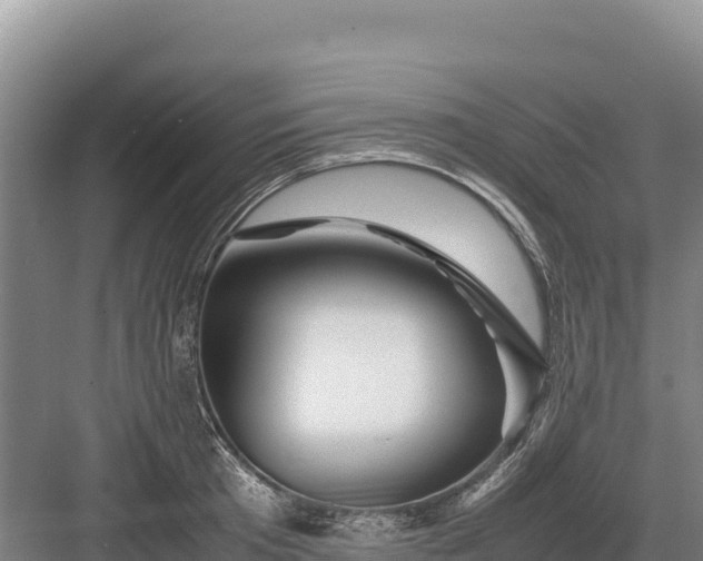 X0000082970801200702152330