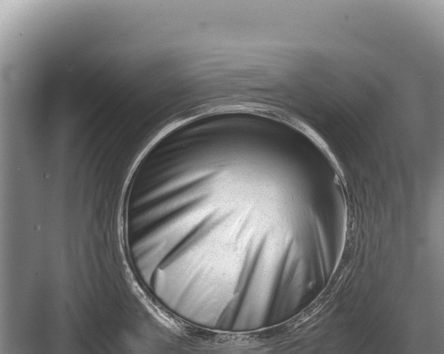 X0000082970811200702152330