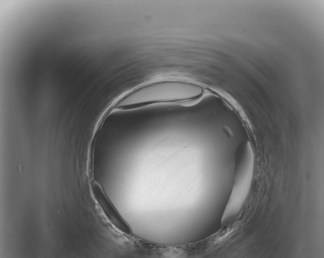 X0000082970815200702152330