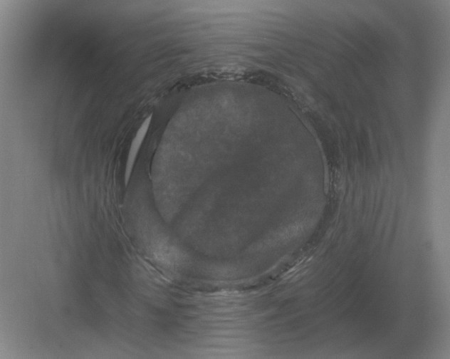 X0000082970818200702152329