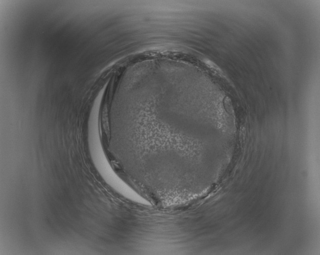 X0000082970822200702152329