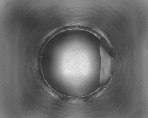 X0000082970826200702152329